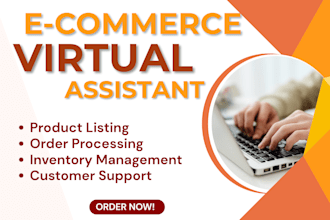 be your ecommerce virtual assistant