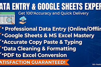 do professional data entry and google sheets expert work