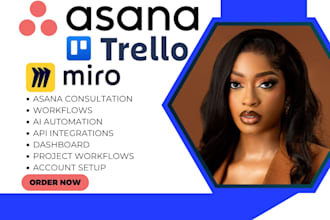 build miro boards, trello, asana workflows project management system