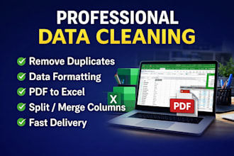 do accurate data cleaning, deduplication, validation service