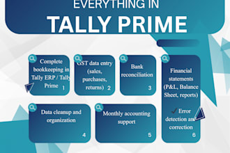 fix errors and organize your tally erp accounts