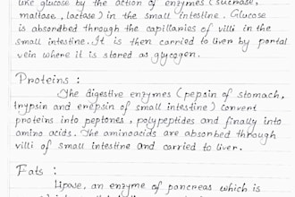 write neat and clean handwritten notes