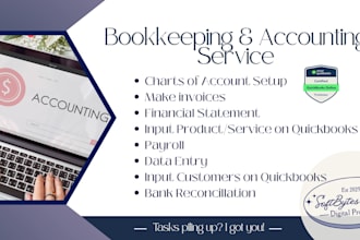 do quickbooks data entry, clean up, or set up