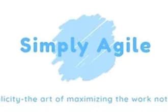 be your project manager for your project or delivery team