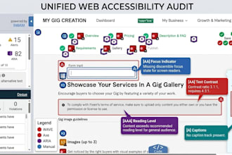 perform website accessibility audit using wcag guidelines
