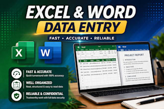do excel and word data entry