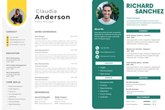 professional ats resume and CV writing service