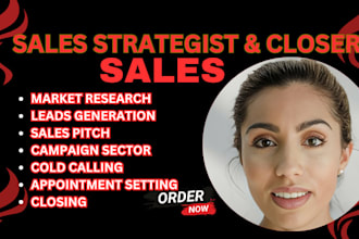 be high ticket sales agent salesperson online sales representative sales closer