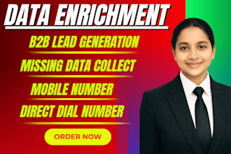 data enrichment decision maker emails and phone numbers appending
