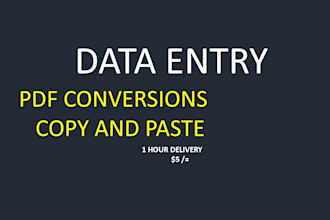 do fast data entry, copy paste, pdf conversions
