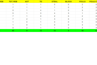 make statistics of your basketball game