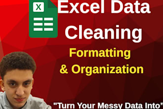 organize, format and clean your microsoft excel spreadsheets