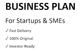 write a professional business plan for your startup or sme
