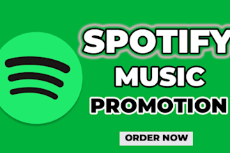 promote your music with professional playlist placement and meta ads