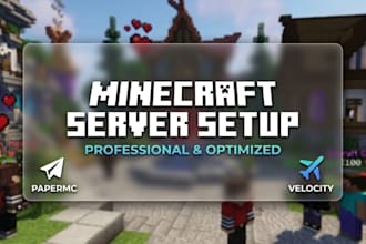 setup a professional minecraft server or create custom skripts