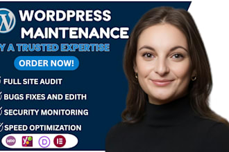 provide professional wordpress maintenance with updates security and speed