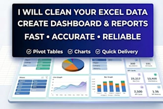 clean format and create professional excel dashboard with pivot tables