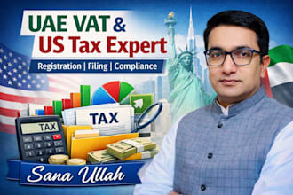 provide vat registration, filing, and consultancy for uae and USA businesses