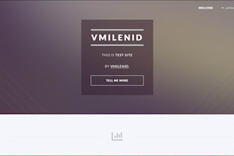build you a clean business website