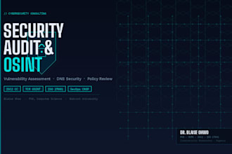conduct a cybersecurity audit, or osint investigation for your business