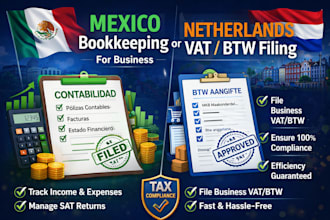 do mexico bookkeeping or netherlands vat btw filing for business