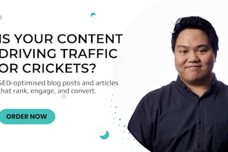 write seo optimised blog posts and articles