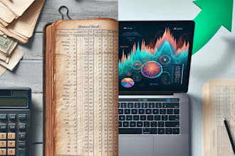 perfom professional accounting data entry in excal