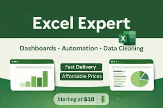 create professional financial models in excel