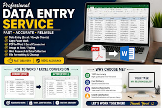 accurate data entry,excel, copy paste,PDF to word conversion