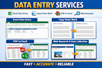 professional data entry expert