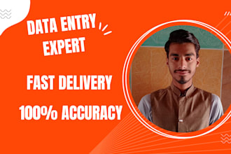 do accurate data entry,excel,copy paste and websearch