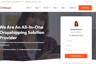 design dropshipping website print on demand website ecommerce website