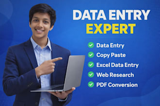 be your virtual assistant for data entry, data mining, copy paste, web research