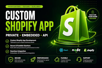 build a custom shopify app or private app for your store