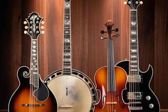 record professional live mandolin, banjo, violin, electrical guitar for song