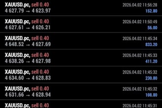 gold ea robot, forex trading bot, crypto trading bot, forex ea robot, xauusd ea