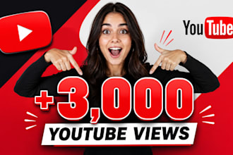 do professionally 3,000 youtube views organic
