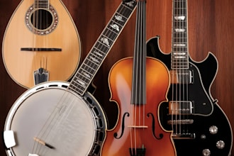 provide live instrument mandolin, banjo, violin, electrical guitar for song