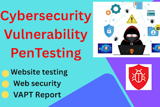 do website security testing and cybersecurity vapt