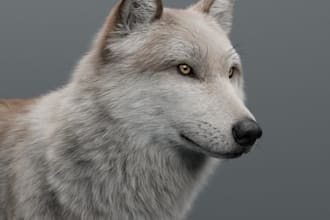 make 3d animal model with realistic fur, xgen hair and rigging