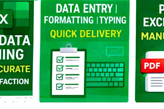excel data cleaning, formatting and organize your data