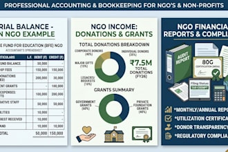 do nonprofit and charity bookkeeping and financial reporting
