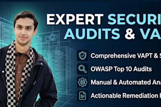perform expert vapt and security audits