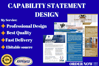 design a professional winning capability statement, capability statement