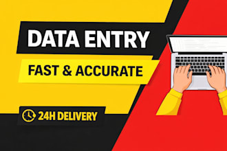 do accurate data entry fast and professionally