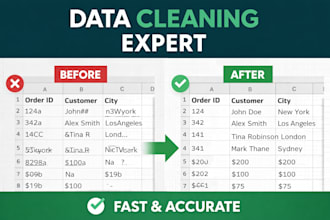 clean, format and organise your excel data professionally