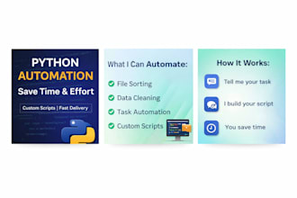 create a custom python automation script for your task