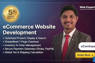 build a professional e commerce website