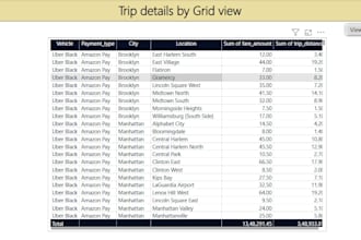 clean and enter data in excel