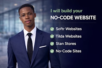 build a professional softr, tilda or stan store website